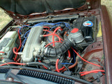 HPSI Silicone Vacuum Hose Kit - Alfa Romeo GTV6 (1984-1986)